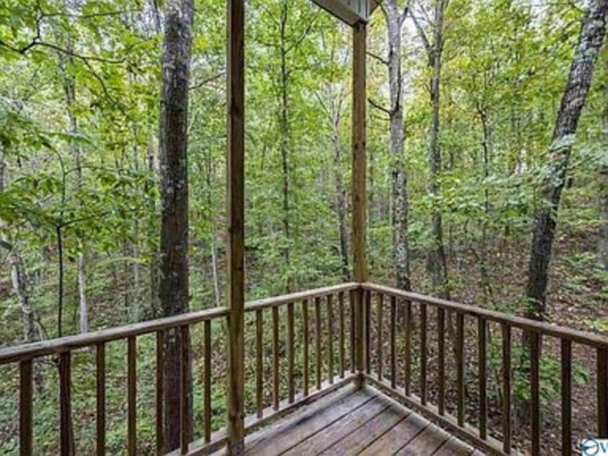 פורט פיין Serenity Escape Treehouse On 14 Acres Near Little River Canyon מראה חיצוני תמונה