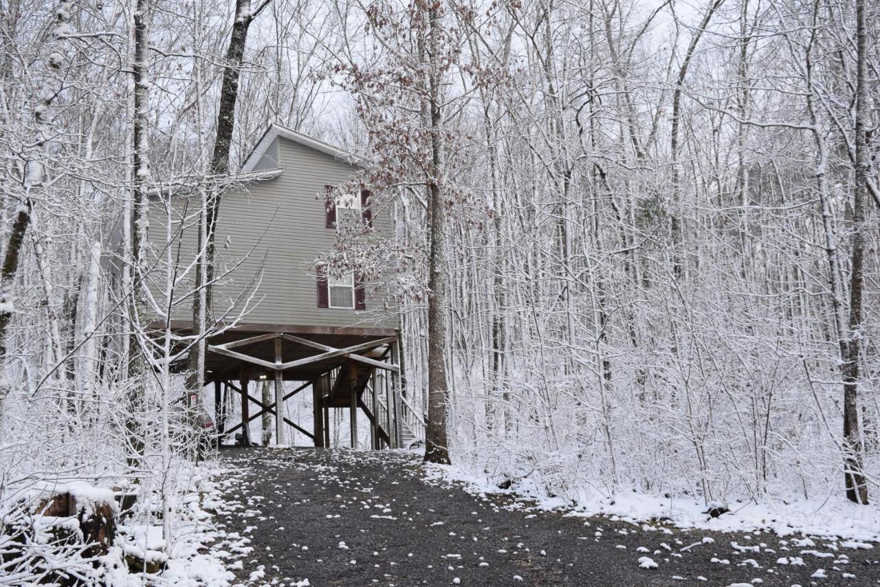 פורט פיין Serenity Escape Treehouse On 14 Acres Near Little River Canyon מראה חיצוני תמונה