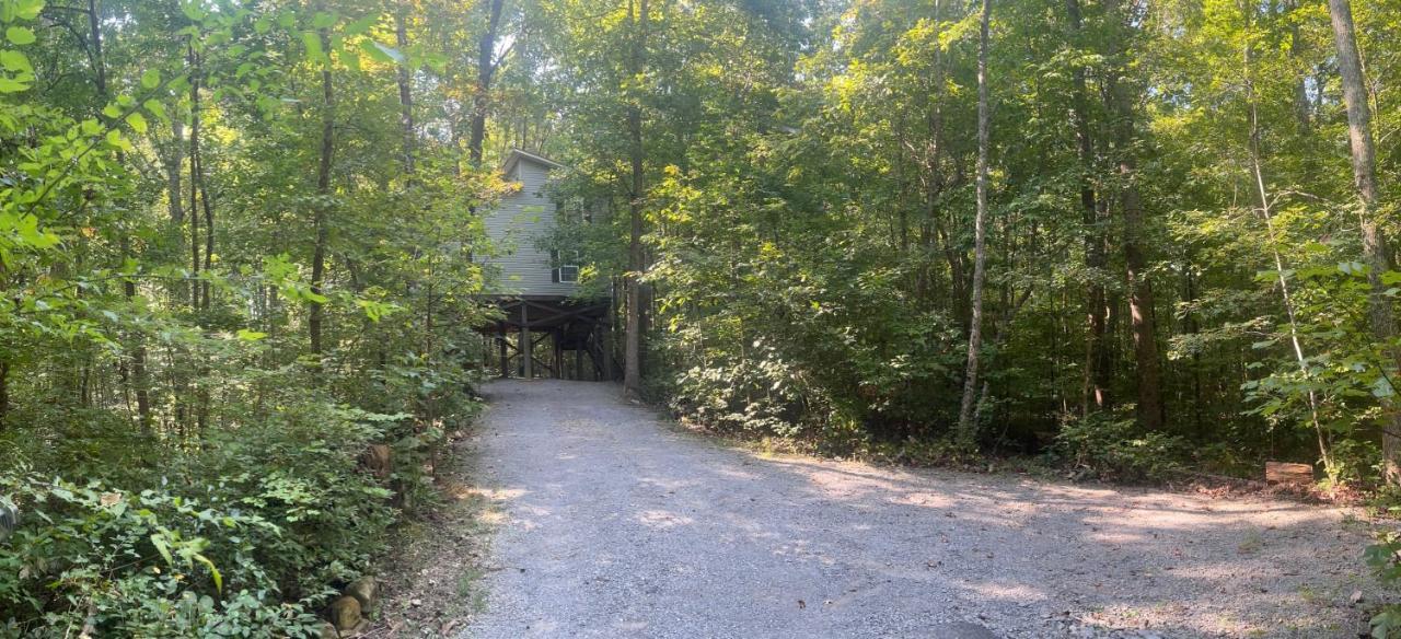 פורט פיין Serenity Escape Treehouse On 14 Acres Near Little River Canyon מראה חיצוני תמונה